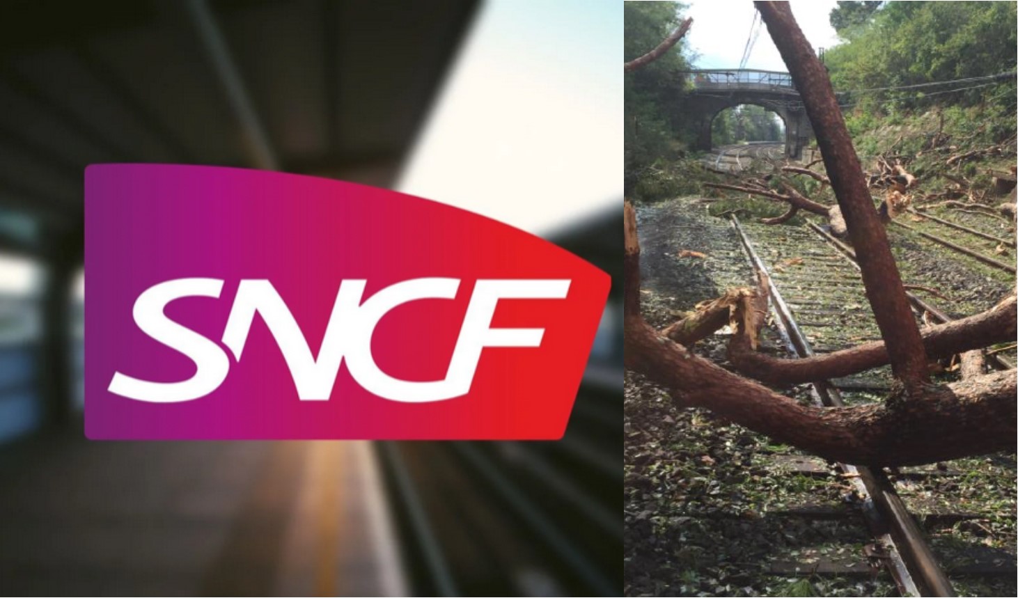 SNCF-RIVERAINS D'UNE VOIE FERRÉE  : VOUS AVEZ AUSSI UN RÔLE À JOUER ! LES ARBRES DE VOTRE PROPRIÉTÉ RELÈVENT DE VOTRE RESPONSABILITÉ