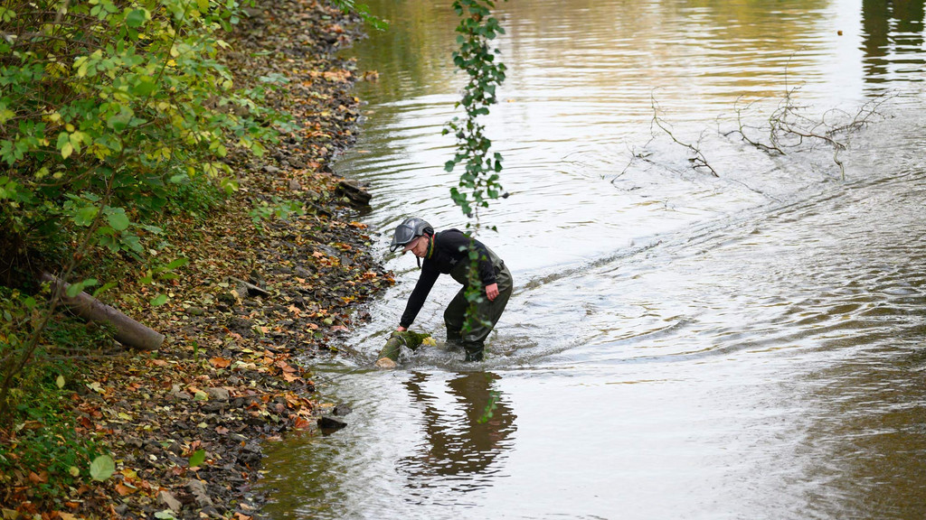 Chartres Métropole - Etude milieux aquatiques : de mi juin à fin septembre sur les cours d'eau l'Eure et la Roguenette