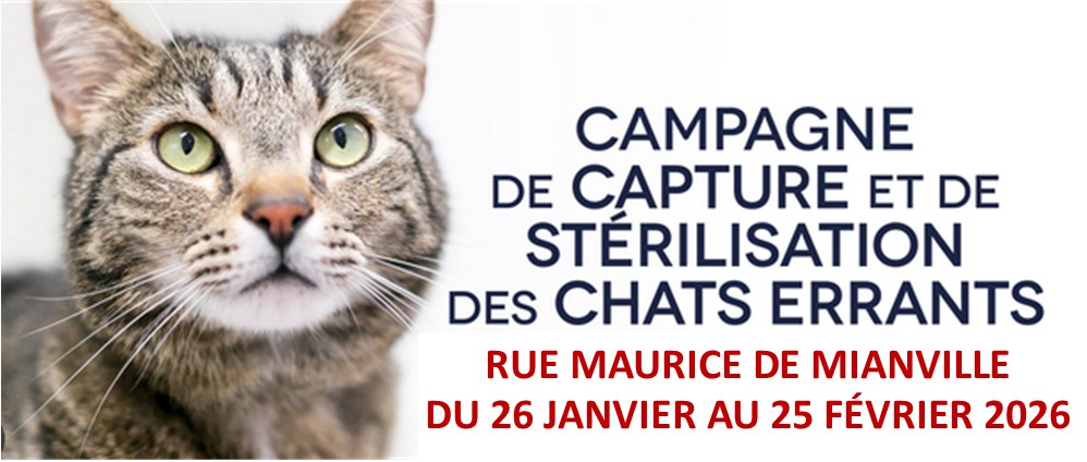 TRAPPAGE ET CAPTURE DE CHATS ERRANTS RUE DE MIANVILLE (LE GORGET) : IDENTIFICATION ET STÉRILISATION