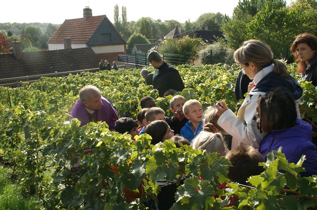 La Commune de Saint-Prest renoue avec son passé viticole dans un souci de développement durable